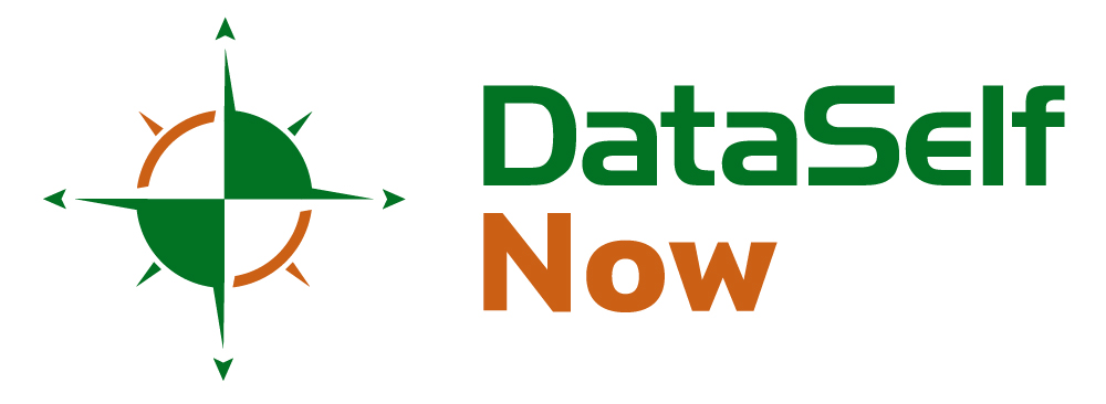 dataself_now_logo.jpg